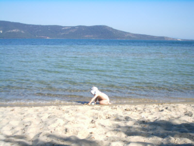 Strandparadies Strandparadies