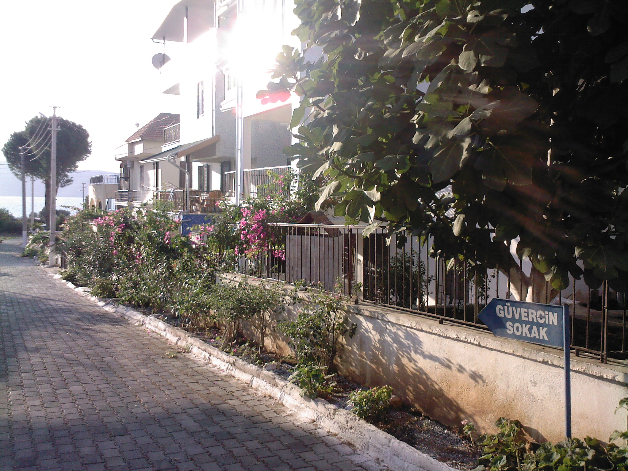 Güvercin sokak - "Taubenstraße" Güvercin sokak - "Taubenstraße"